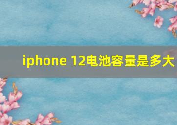 iphone 12电池容量是多大